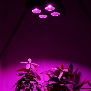 2ks/lot 1000W LED Světla Rostou COB Full Spectrum Phyto Lampy pro Rostliny Vegs Krytý Hydroponie Růst Stan Skleníkových Rostoucí Světlo