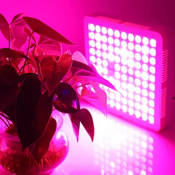 3000W LED Světla Rostou Lampa Panel Hydroponické Rostliny Rostou celé Spektrum Pro Veg Květ Indoor Semena Rostlin AC85-265V