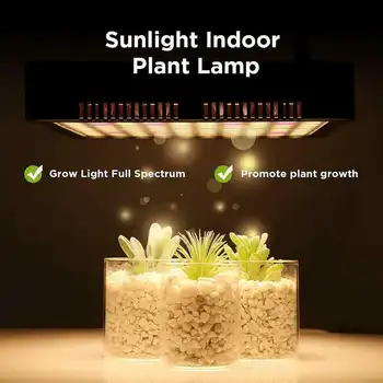 4000W 300LED Plant Grow Světlo, Full Spectrum Phytolamp pro Pokojové Rostliny, Osiva, Květina, Rostlina, Zelenina Hydroponie Systém, Grow Stan