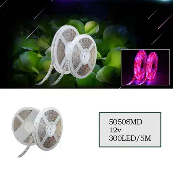 5050 SMD 5M LED Grow Lampa Full Spectrum LED Strip Světlo IP33 IP65 DC12V 300 Led diody Růst Lampa Phytolamp Pro Skleníkových Rostlin Pokoj