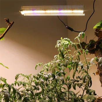 Full Spectrum LED Grow Světlo 560LEDs PCBA 280W Lampa Hydroponické Pěstování Trubice Vnitřní Sazenice Růst Rostlin Osvětlení w/ Plug
