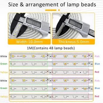 LED Pás 220V Flexibilní Lano Světlo 8-Flash Mods Multi Barevné Měnící se Smart Led Strip 5M 10M 15M 20M 25M 30M Vodotěsné led Pásky