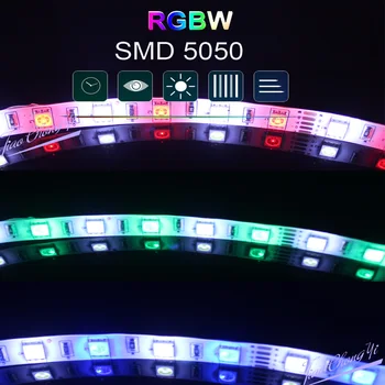 LED pásek 5050 60 Led/m Flexibilní Domácí Dekoraci, Osvětlení LED Pásky RGB, RGBW RGB CCT Bílá/Teplá Bílá/Modrá/Zelená/Červená 5m/Roll 12V