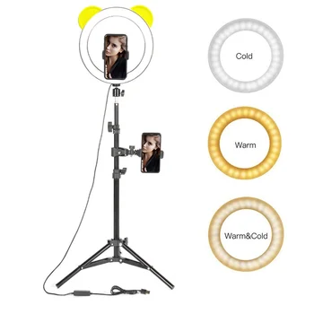 Tongdaytech LED prstencové Světlo Nést 10palcový Stmívatelné Selfie LED Kroužek Vyplnit Světlo Fotografie S podstavcem Pro Vedio Live YouTube Make-up